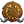 Goldtooth